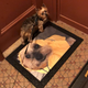 Tyrone and the Tyrone doormat